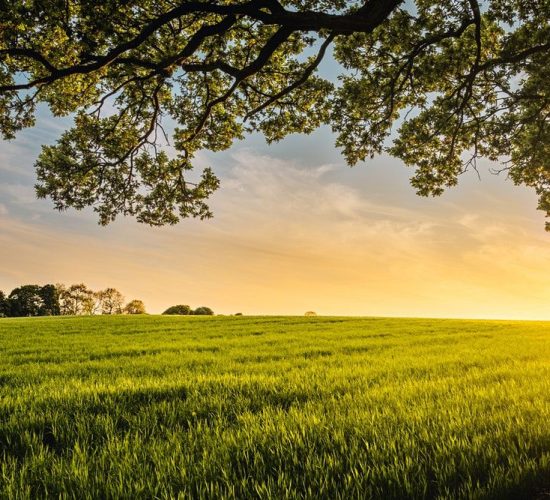 photo-1495107334309-fcf20504a5ab photo-1495107334309-fcf20504a5ab